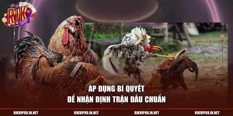 Áp dụng bí quyết để nhận định trận đấu chuẩn