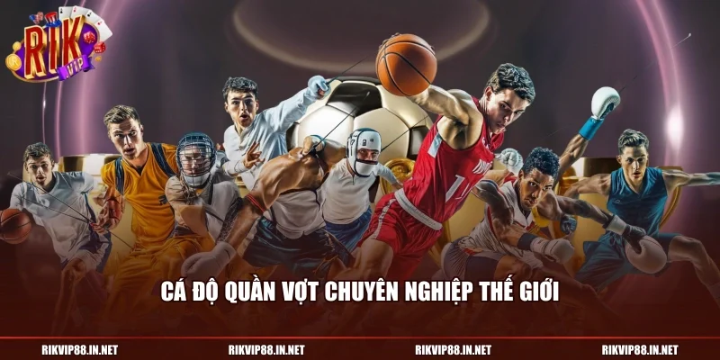 Cá độ quần vợt chuyên nghiệp thế giới
