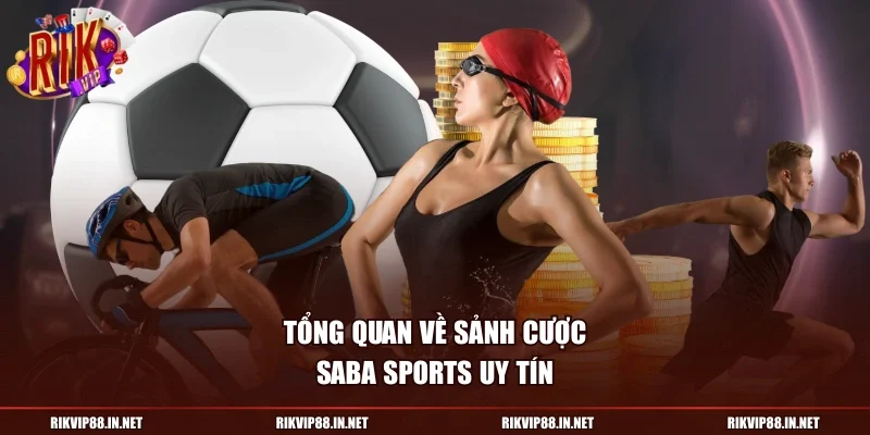 Tổng quan về sảnh cược Saba Sports uy tín